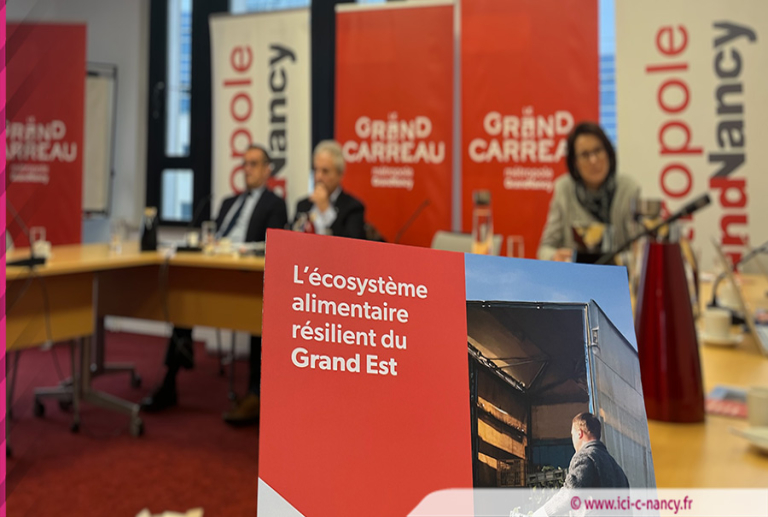 Nancy : à quoi ressemblera 