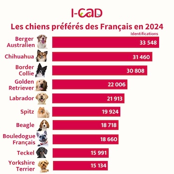topchien2024