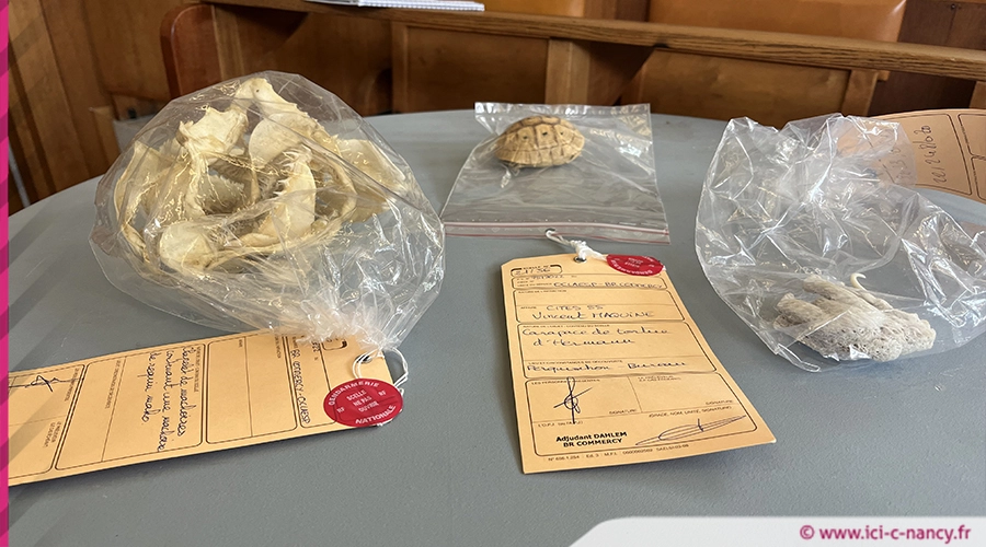 saisiejustice museeum2