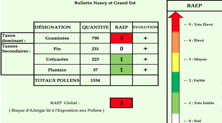 Pollens1106