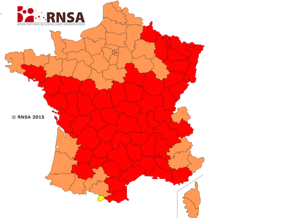 RNSA29mai